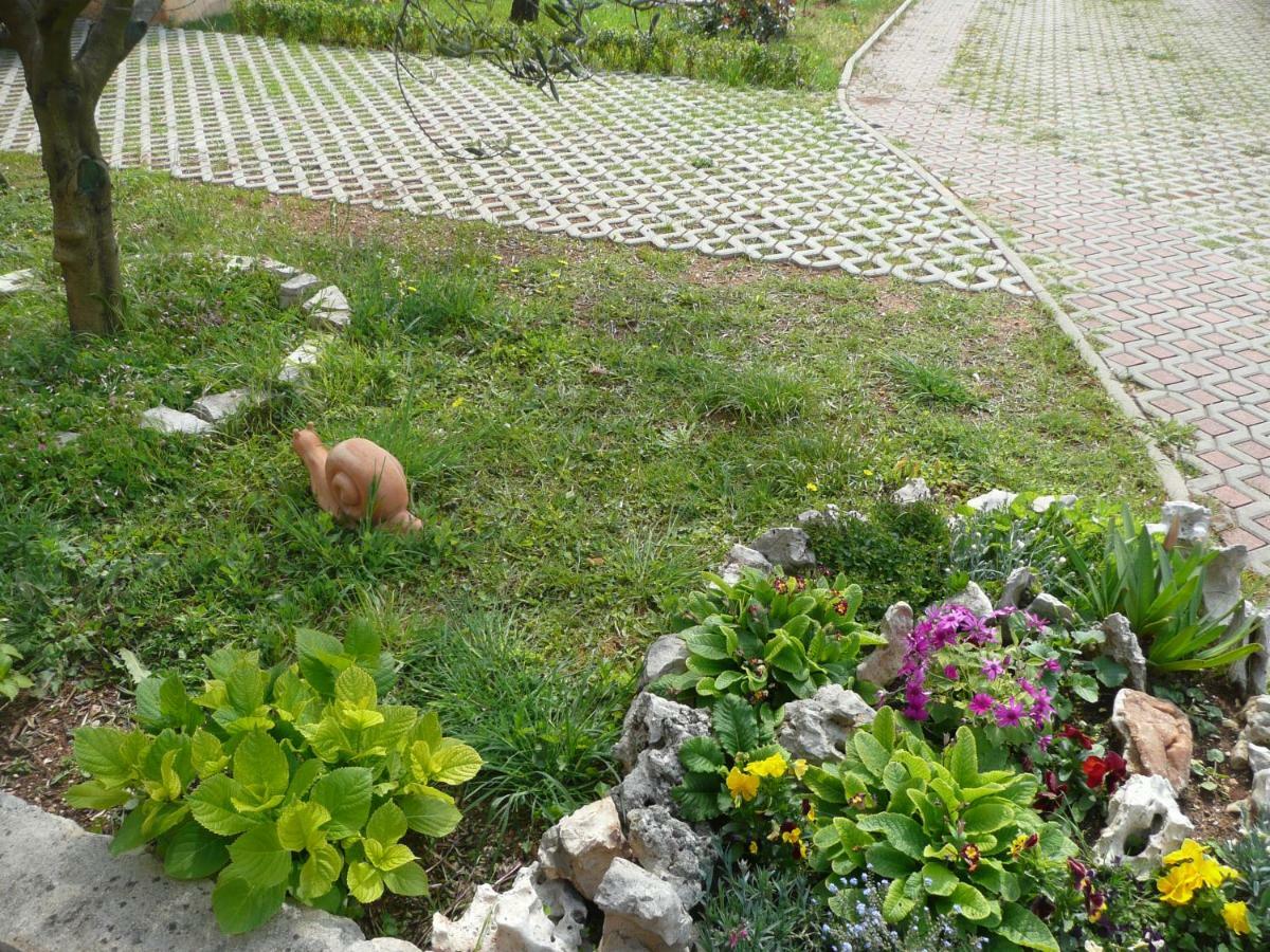 Villa Niceta Zara Esterno foto
